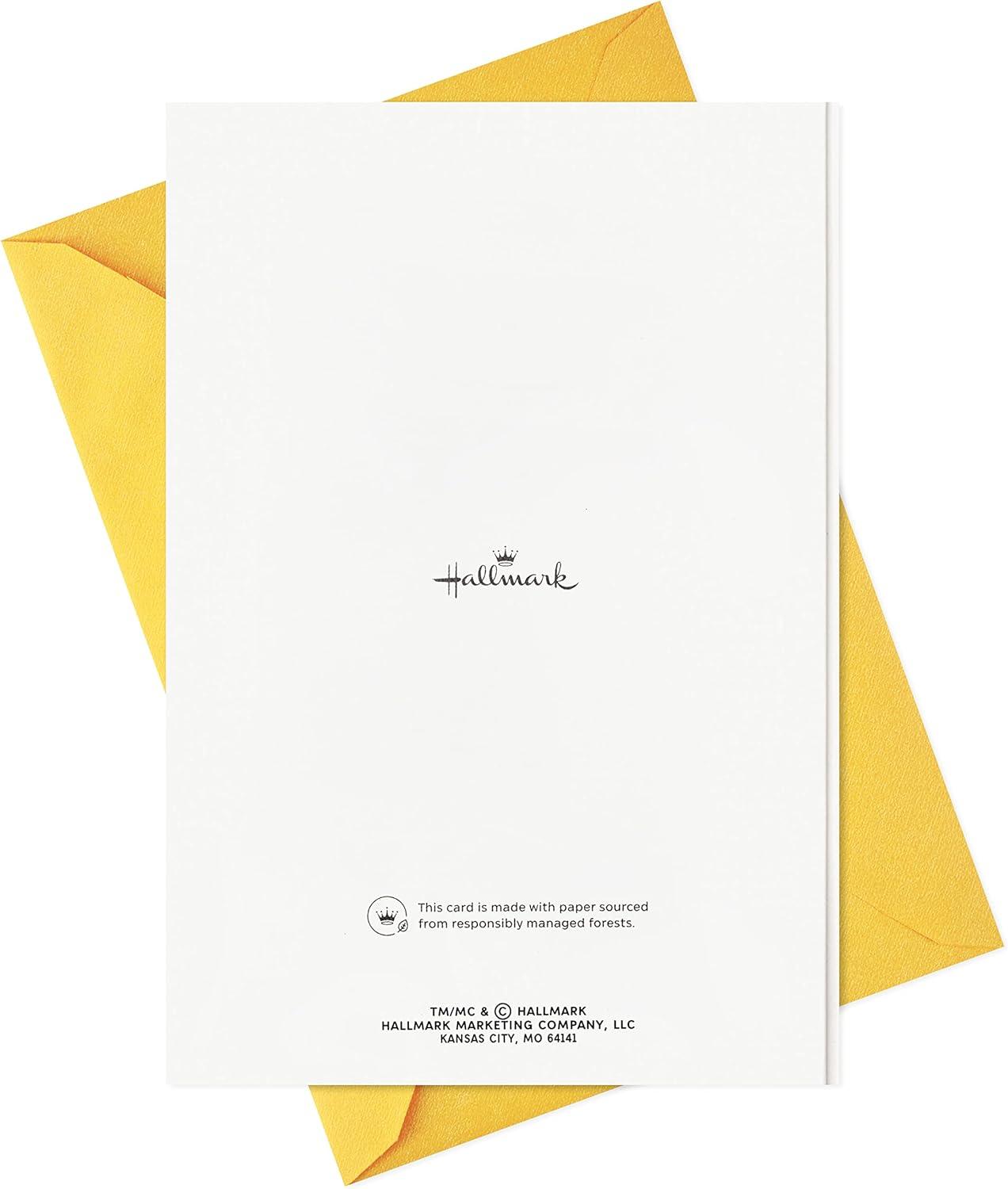 imageHallmark 13quot Large Birthday Gift Bag with Tissue Paper and Birthday Card Rainbow Stripes for Kids Adults CoworkersStriped Birthday