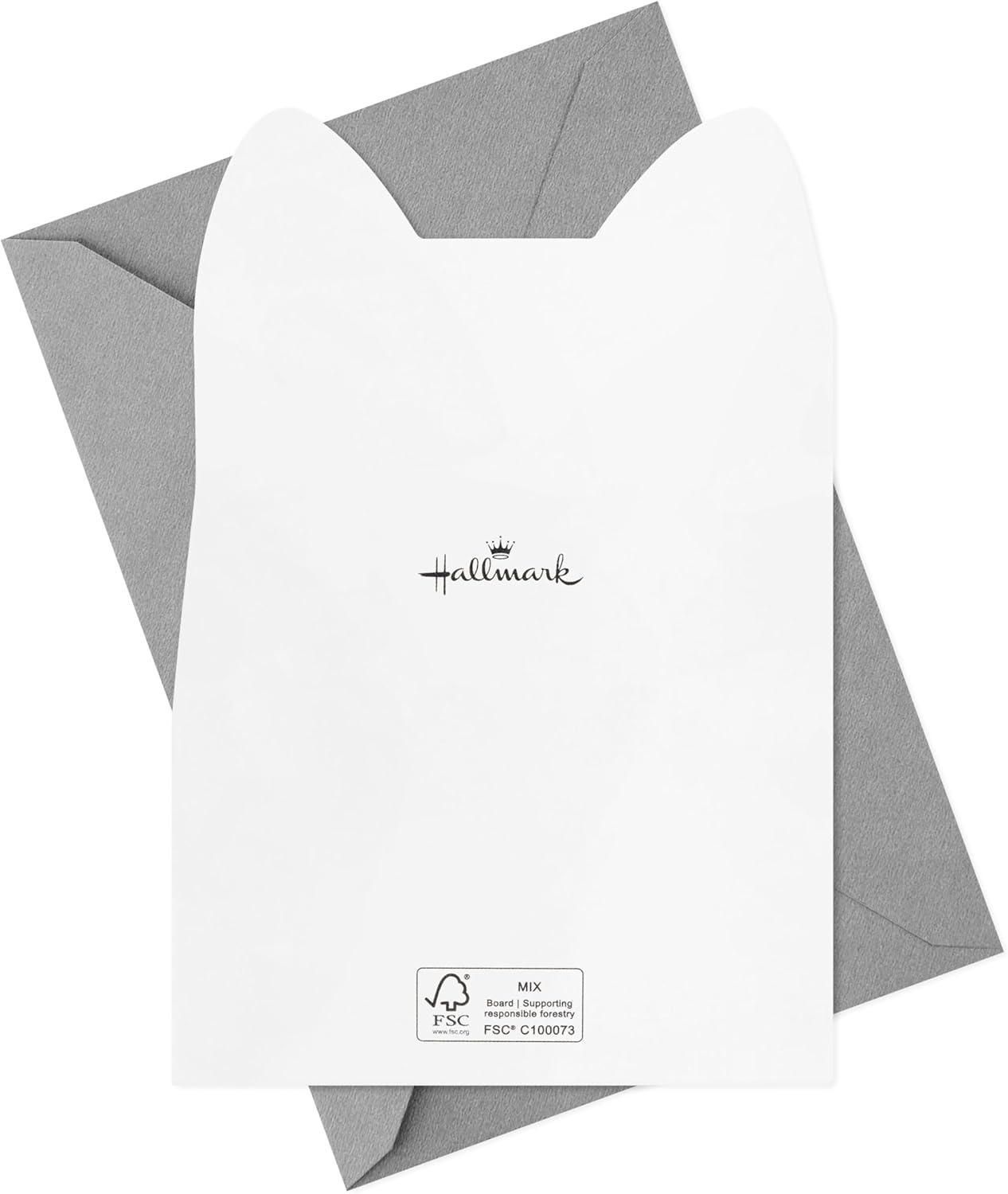 imageHallmark Cute Cat Note Card Assortment 16 Blank Cards with Envelopes for Kids Teens Teachers