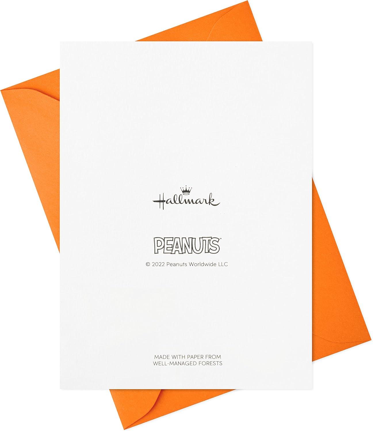 imageHallmark Peanuts Thank You Cards Snoopy in Hot Air Balloon 20 Cards with Envelopes