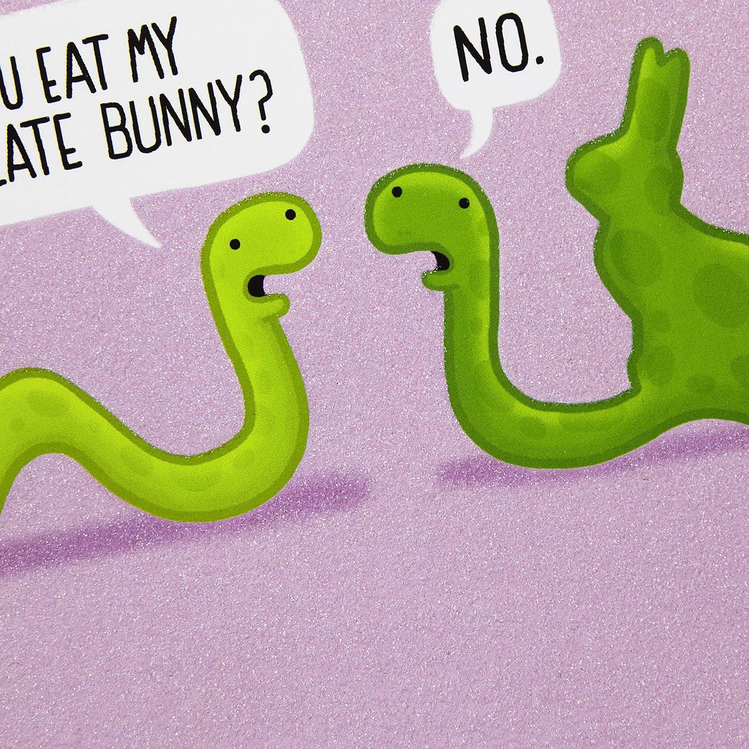 imageHallmark Shoebox Funny Easter Cards Assortment 5 Cards with Envelopes Cats Chicken Snakes Easter Bunny6 Cards Shoebox