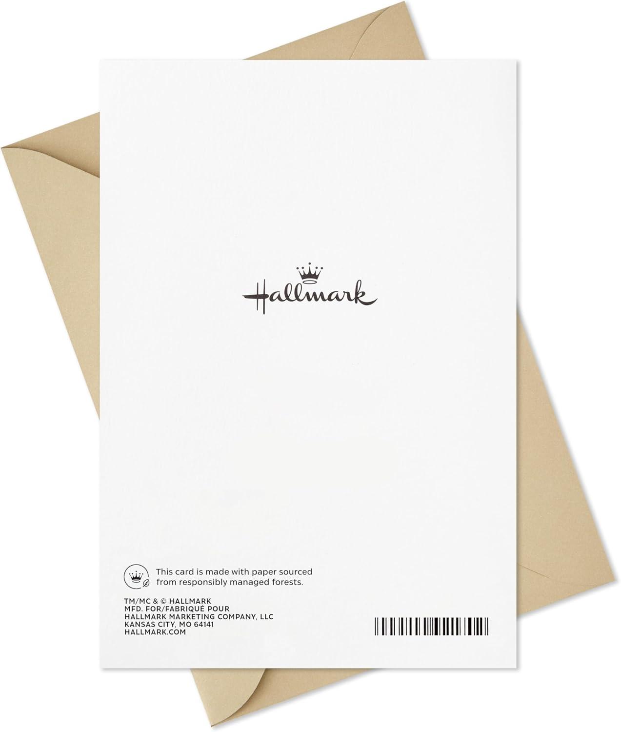 imageHallmark Sympathy Greeting Card For You and Your Familyblue peach purple