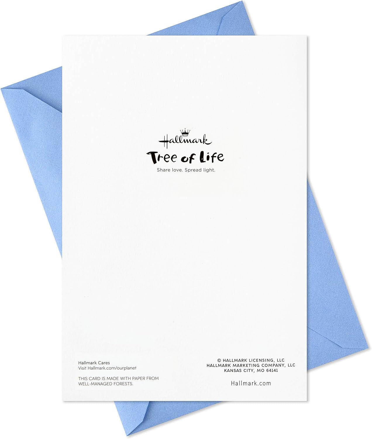 imageHallmark Tree of Life Hanukkah Boxed Cards 40 Cards and Envelopes Blue and Silver DoveShalom Hanukkah Cards