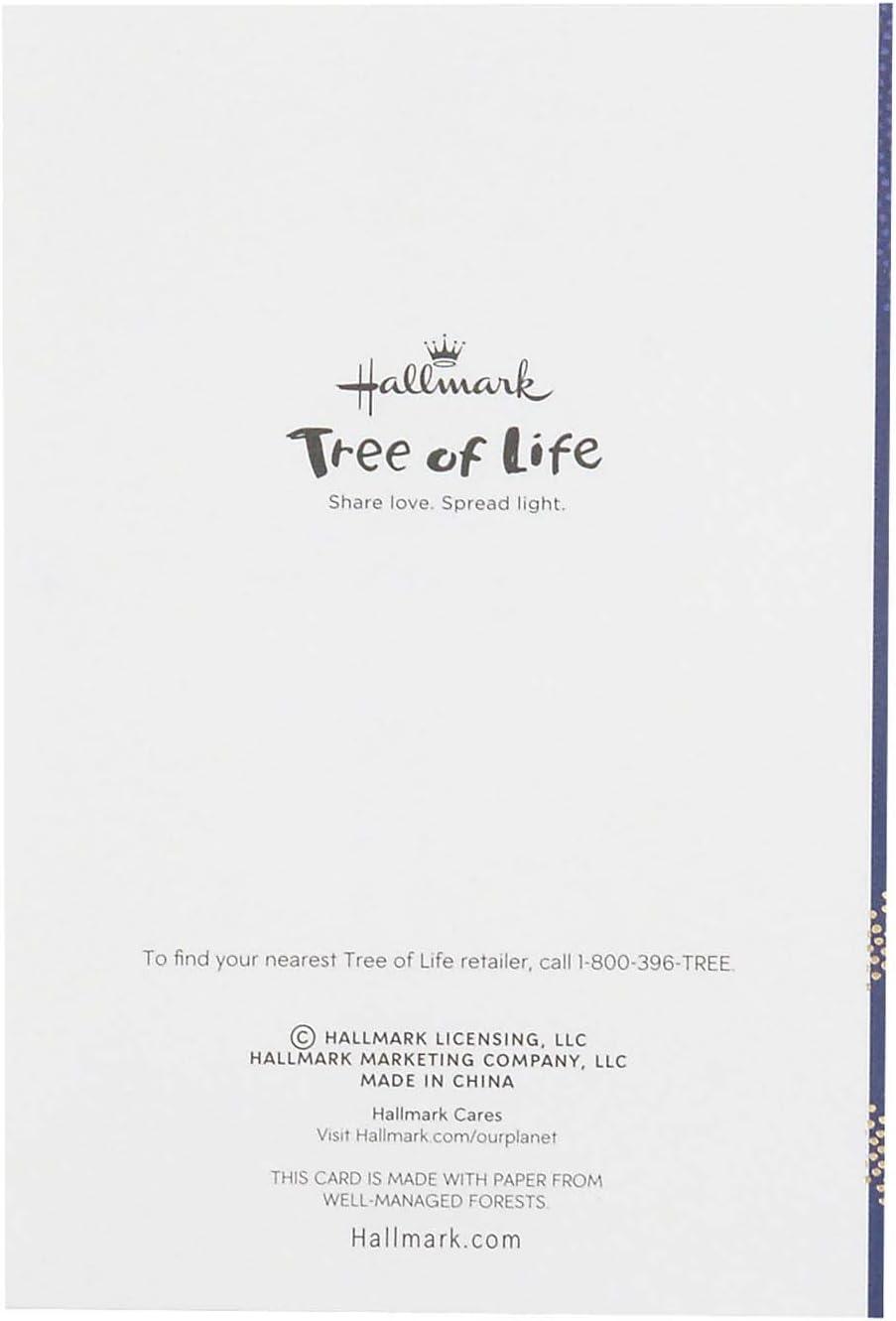 imageHallmark Tree of Life Pack of Funny Passover Cards A Little Schmaltz 4 Cards with EnvelopesRosh Hashanah LShanah Tovah and LChaim