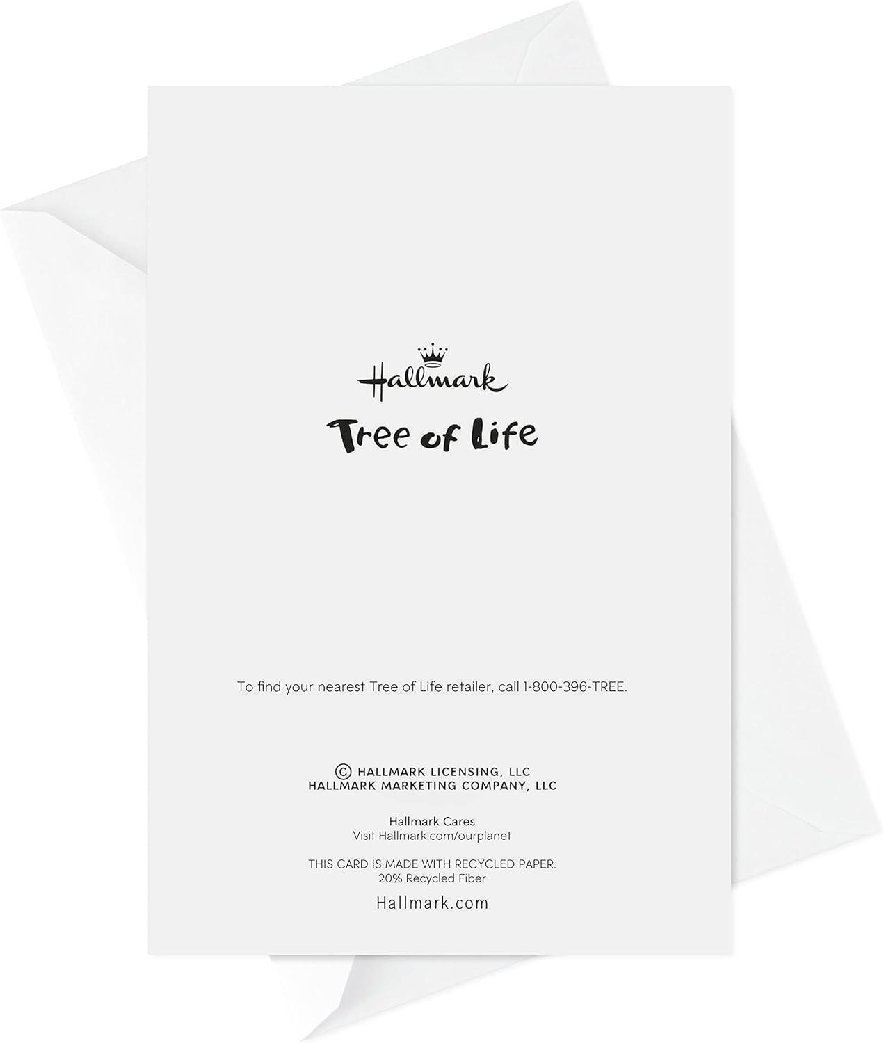 imageHallmark Tree of Life Passover Cards Assortment Happy Passover 6 Cards with EnvelopesPast to Future 6 Cards with Envelopes