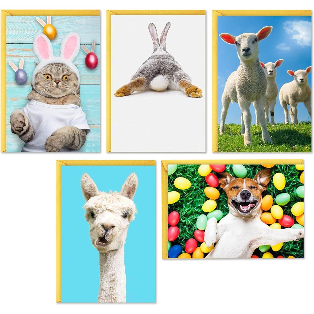 imageHallmark Easter Cards Assortment 5 Cards with Envelopes Dog Cat Llama Lambs BunnyYellow