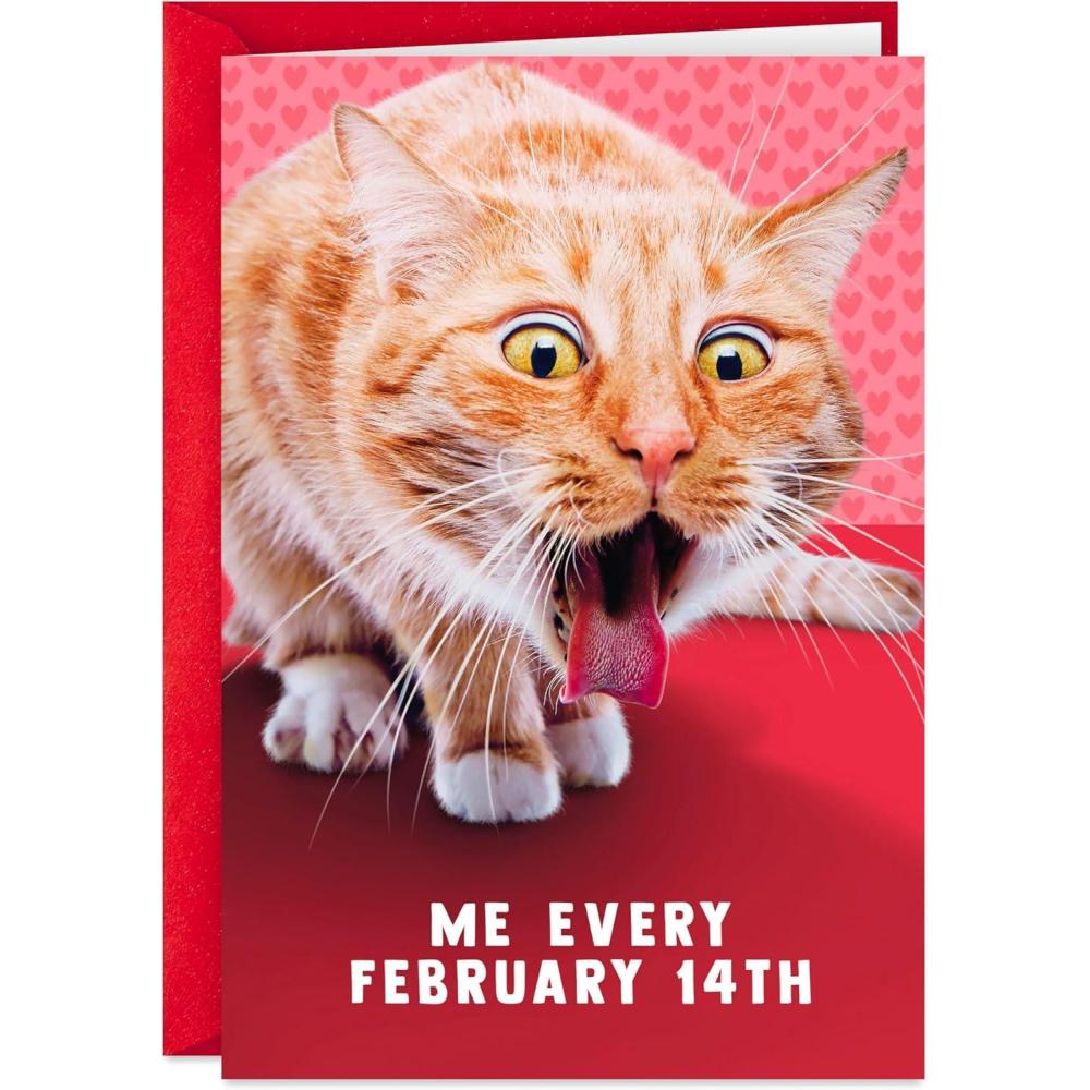 imageHallmark Flirty PopUp Valentines Day Card All I Need Is You for Husband Wife Boyfriend GirlfriendCat Hairball
