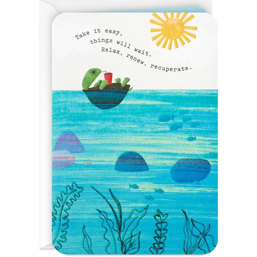 imageHallmark Pack of 2 Get Well Soon Encouragement Cards Floating TurtleFloating Turtle
