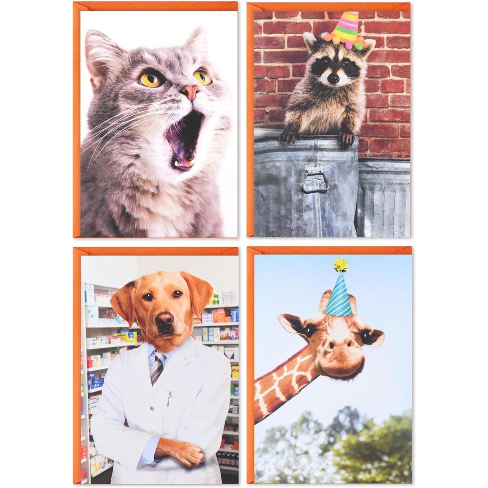 imageHallmark Shoebox Funny Birthday Card Assortment 4 Cards with Envelopes Cat Dog Giraffe Raccoon