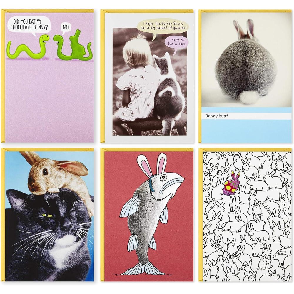 imageHallmark Shoebox Funny Easter Cards Assortment 5 Cards with Envelopes Cats Chicken Snakes Easter Bunny6 Cards Shoebox
