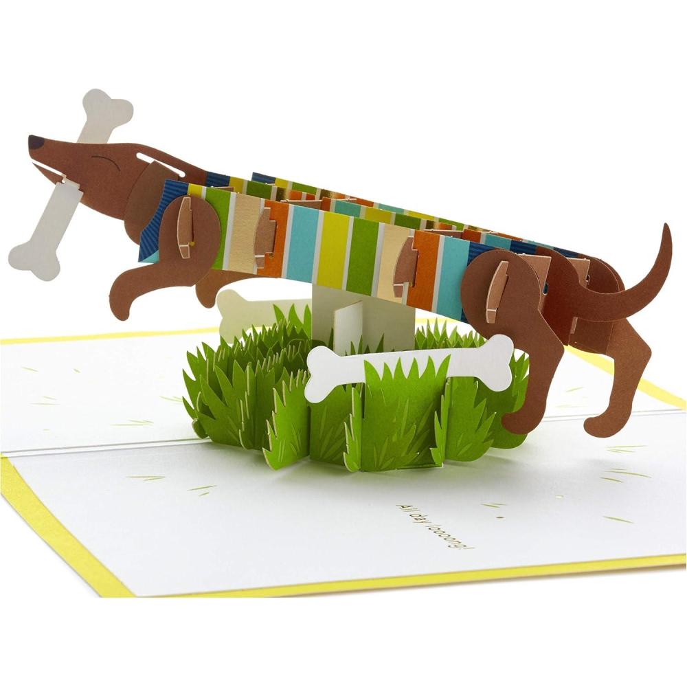 imageHallmark Signature Paper Wonder Pop Up Birthday Card Everything GoodPop Up  Dachshund  Happy All Day Long