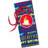 Hallmark 13″ Large Birthday Gift Bag Bundle (3 Bags: Rainbow Confetti Cake, Plaid, Solid Teal Blue)(Blue Happy Birthday Plastic Sacks)