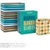 Hallmark 13″ Large Birthday Gift Bag Bundle (3 Bags: Rainbow Confetti Cake, Plaid, Solid Teal Blue)(Teal Stripes  Dots  Happy Birthday)
