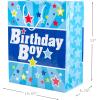 Hallmark 13″ Large Birthday Gift Bag with Tissue Paper and Birthday Card (Rainbow Stripes) for Kids, Adults, Coworkers(Birthday Boy)
