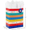 Hallmark 13″ Large Birthday Gift Bag with Tissue Paper and Birthday Card (Rainbow Stripes) for Kids, Adults, Coworkers(Striped Birthday)
