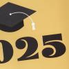 Hallmark 2025 Bulk Graduation Thank You Cards, Black and Gold (40 Count with Envelopes) for Grad Announcements, Invitations, Thanks(2025 Grad)