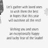 Hallmark 2025 Chinese New Year Card Pack (6 Cards with Envelopes) Year of the Snake(Pack of 6)