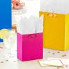 Hallmark Assorted Gift Bags (8 Bags: 3 Small 6″, 3 Medium 9″, 2 Large 13″) Solid Pink, Blue, Green, Yellow, Red(1 Count (Pack of 8))