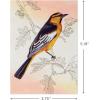 Hallmark Bird Note Card Assortment (24 Blank Cards with Envelopes) Bluebird, Mockingbird, Sparrow, Oriole, Warbler(Birds)
