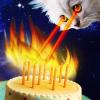 Hallmark Birthday Cards Assortment, 36 Cards with Envelopes (Cats, Lasers, Llamas, Donuts)(Cats  Lasers  Llamas  Donuts)