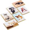 Hallmark Blank Cards Assortment, Dog and Cat Photos (36 Assorted Note Cards with Envelopes)(Multicolor/Assorted)