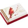 Hallmark Boxed Christmas Cards, Painted Cardinal (40 Cards and 40 Envelopes) Beautiful Christmas