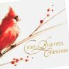 Hallmark Boxed Christmas Cards, Painted Cardinal (40 Cards and 40 Envelopes) Beautiful Christmas