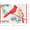 Hallmark Cardinal Thank You Notes (20 Cards with Envelopes) for Christmas, Holidays, Winter