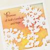 Hallmark DaySpring Religious Sympathy Card (God’s Comfort and Hope)(God’s Comfort and Hope)