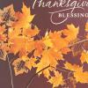 Hallmark Dayspring Pack of Religious Thanksgiving Cards, Give Thanks (10 Cards with Envelopes), 799THJ1069(Thanksgiving Blessings  6 Cards)