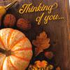 Hallmark Fall Thinking of You Cards (8 Cards with Envelopes) Pumpkins and Leaves(Autumn Pumpkins and Leaves)