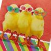 Hallmark Funny Musical Easter Card for Kids, Chicks in Sunglasses (Plays The Chicken Dance)(Easter  Dancing Musical Chicks)