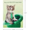 Hallmark Halloween Cards Assortment, Pet Puns (48 Cards with Envelopes)(St. Patrick’s Day Punny Pets Card Assortment)
