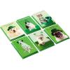 Hallmark Halloween Cards Assortment, Pet Puns (48 Cards with Envelopes)(St. Patrick’s Day Punny Pets Card Assortment)