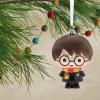 Hallmark Harry Potter Dobby Christmas Ornament(Harry Potter Glass)