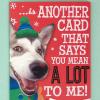 Hallmark Musical Christmas Card (Funny Christmas Cat)(Card Inside Card  Playful Dog)