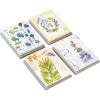 Hallmark Nature Note Card Assortment (48 Blank Cards with Envelopes) Artistic Trees, Leaves, Birds, Rocks
