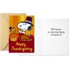 Hallmark Pack of Peanuts Thanksgiving Cards, Snoopy and Woodstock (10 Cards with Envelopes)(Snoopy and Woodstock  10 Thanksgiving Cards)