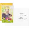 Hallmark Pack of St. Patricks Day Cards, Festive Critters (10 Cards and Envelopes)(Easter  Cute Fuzzy Wishes)