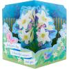 Hallmark Paper Wonder Displayable Pop Up Easter Card (Lilies)(Pop Up Lilies Card  Blessed Day)