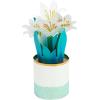 Hallmark Paper Wonder Displayable Pop Up Easter Card (Lilies)(Pop Up Potted Lilies)
