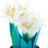 Hallmark Paper Wonder Displayable Pop Up Easter Card (Lilies)(Pop Up Potted Lilies)