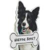 Hallmark Paper Wonder Funny Valentine’s Day Pop Up Card (Wanna Bone) Inappropriate, Dirty Card for Husband, Wife, Boyfriend, Girlfriend, Partner(Dog Treat)
