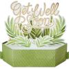Hallmark Paper Wonder Get Well Soon Pop Up Card (Plants)