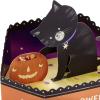 Hallmark Paper Wonder Halloween Pop Up Card (Cat and Pumpkin)(Cat and Pumpkin)