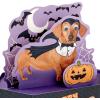 Hallmark Paper Wonder Halloween Pop Up Card (Cat and Pumpkin)(Happy Hallowiener)