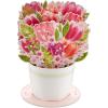 Hallmark Paper Wonder Mother’s Day Pop Up Card (Bouquet of Tulips)(Pop Up  Bouquet of Tulips)