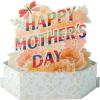 Hallmark Paper Wonder Mother’s Day Pop Up Card (Pink Flowers)(Happy Mother’s Day)