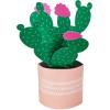 Hallmark Paper Wonder Mother’s Day Pop Up Card (Potted Cactus) for Birthday, Thinking of You, Congrats, Get Well, Appreciation, Any Occasion(Pop Up  Potted Cactus)