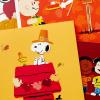 Hallmark Peanuts Thanksgiving Cards Assortment, Snoopy and Friends (16 Assorted Cards with Envelopes)(Peanuts Thanksgiving Assortment)