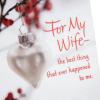 Hallmark Romantic Christmas Card for Husband, Wife, Boyfriend, Girlfriend (I Love You)(For My Wife  Winter Branch)